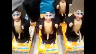 Маймыл пенос