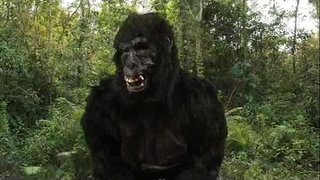 Rex Dong&amp;#039;s 40oz Currentis!