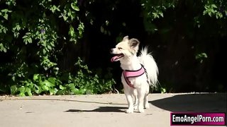 Մանրանկարչություն փոքրիկ երգիչներ &quot; երգչախումբը լավագույններից նկարահանել է գտնում իր շանը տարածքում հարեւաններին.Նրա հարեւանուհին ուզում է մրցանակներ, նրանք հանում է հագուստը, և այդ ժամանակ նա глотает հարեւաններին бигкок.Ի պատասխան նրա հարեւանն է դասակարգել ըստ նրա pussy եւ էշի խորը եւ խիստ, մինչեւ որ նա տղամարդ է նրան.